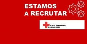 A CVP está a recrutar técnico para gestão de contratação pública